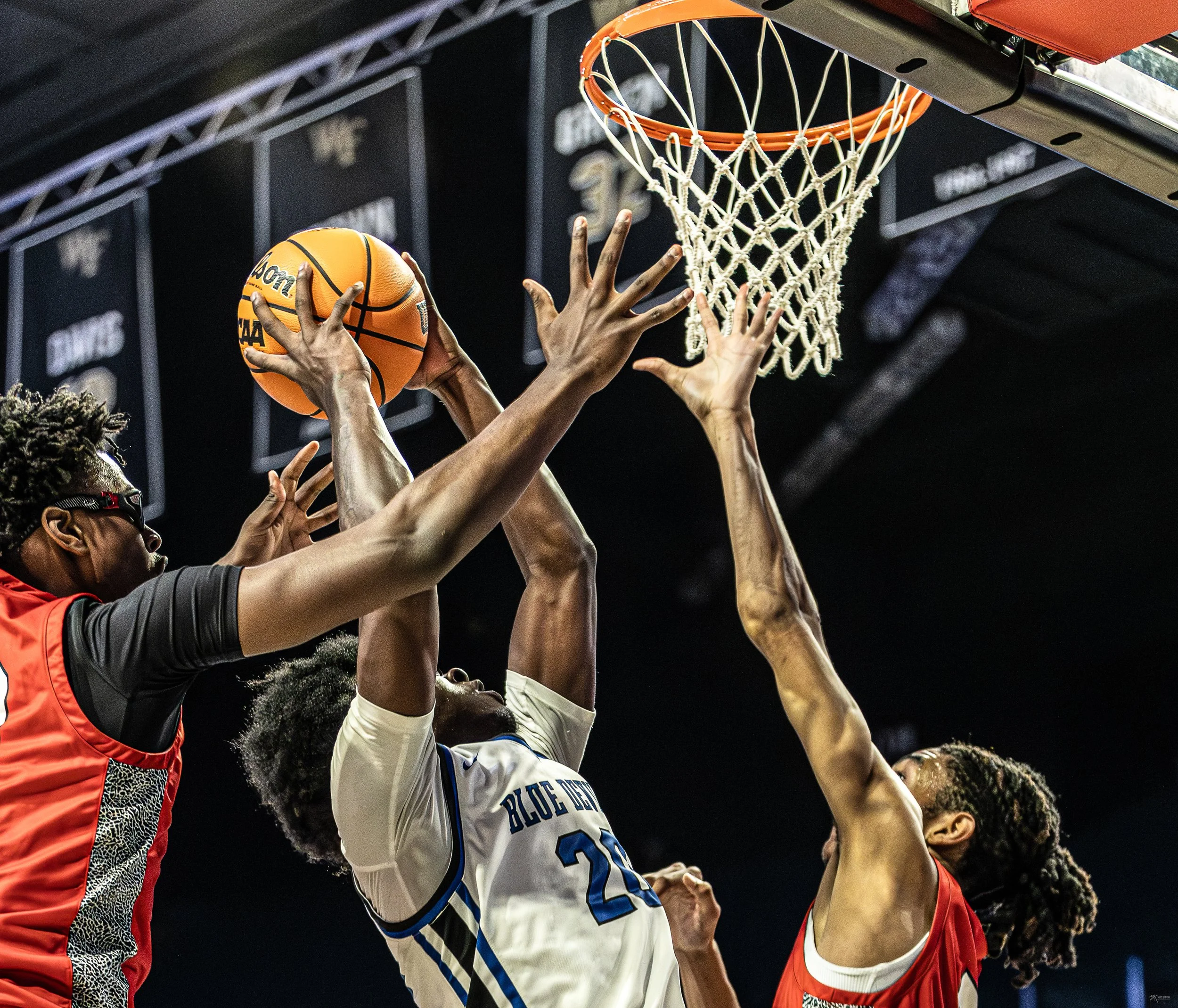 basketballportfolio-samykadous.com-20260314-009.jpg