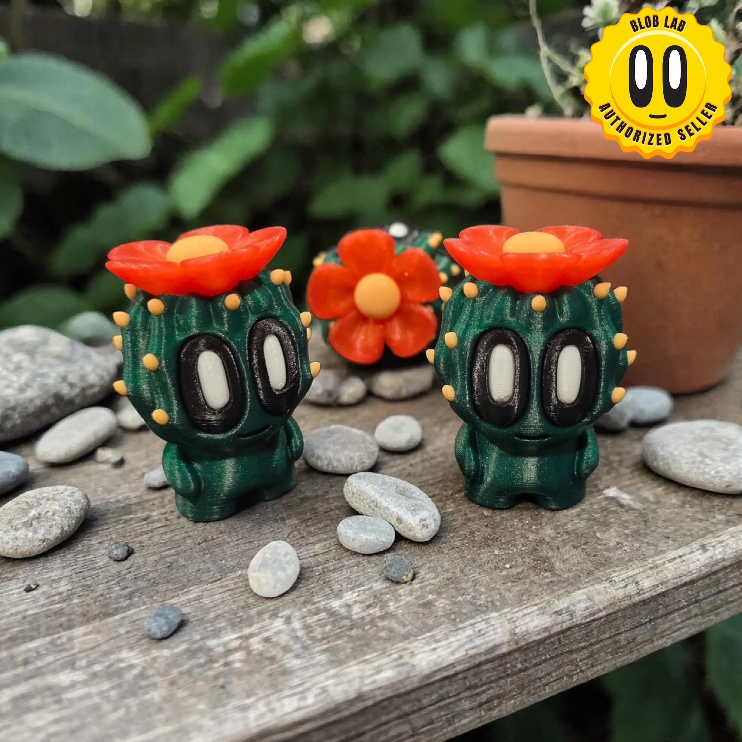 Barrel Cactus