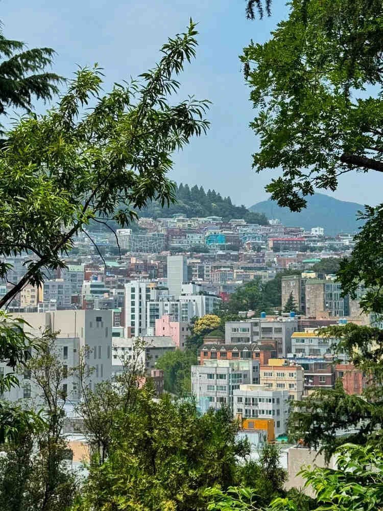 Colorful hillside homes and dense city buildings viewed through trees in Busan, South Korea