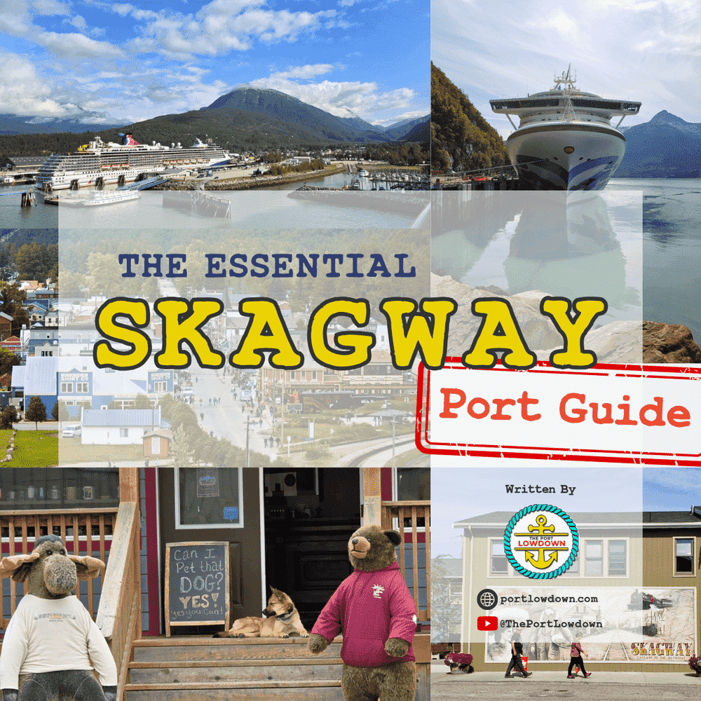Skagway+Product+Image+Website_color64.png