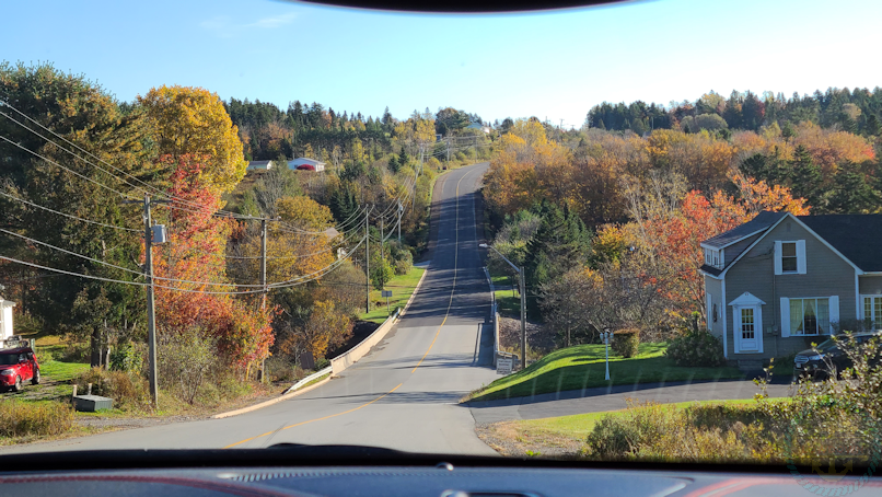 FUN FACTS ABOUT ST JOHN S CANADA intelligence overview