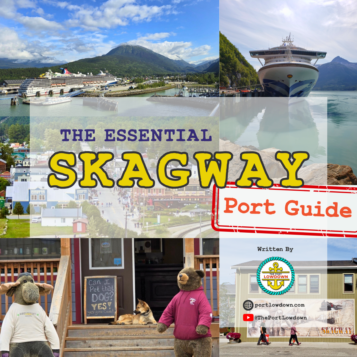 Skagway Product Image Website.png