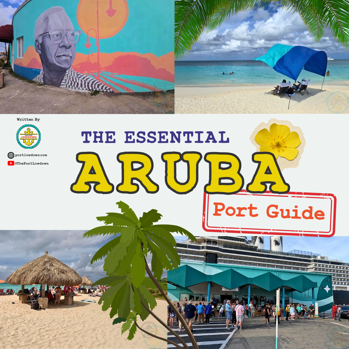 Aruba Product Image Website.png