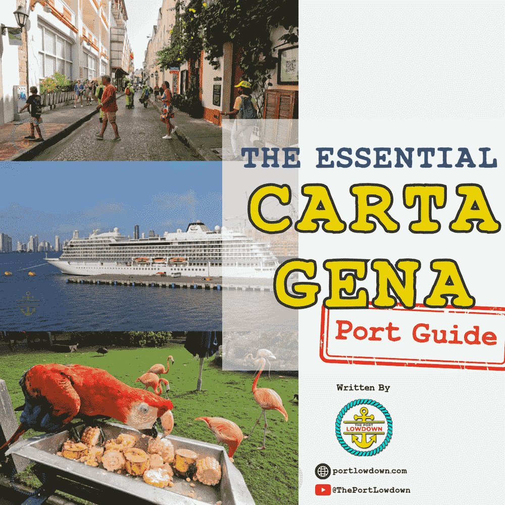Cartagena+Product+Image+Website_color16.png