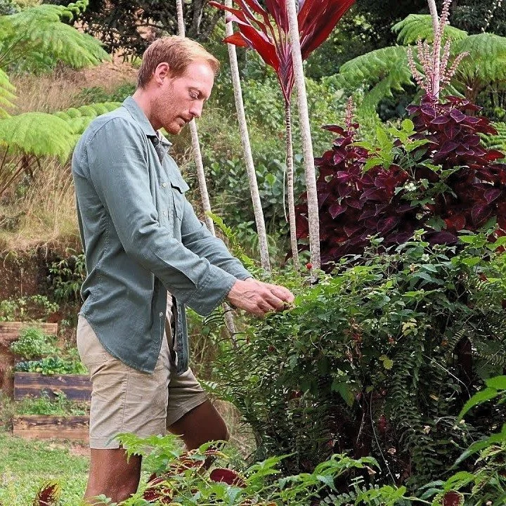 Ever wonder what a day in the life of someone living and working at Finca Refugio looks like? Follow along as @clayton_inthewild goes about his day. Link in bio or search for Clayton In The Wild on YouTube.

#permaculture #puertoricopermaculture #tro