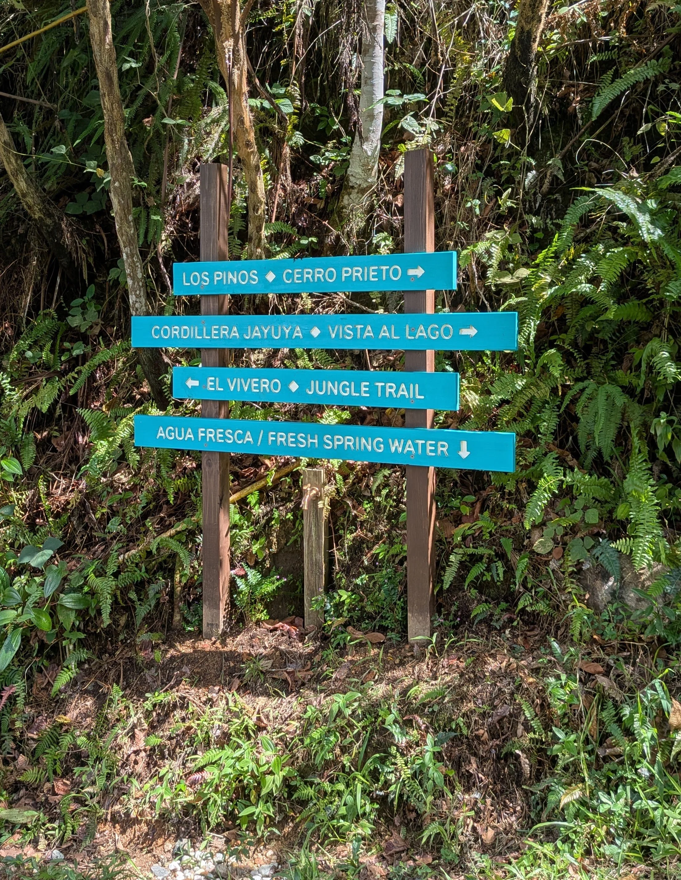 main-trail-signs.jpg