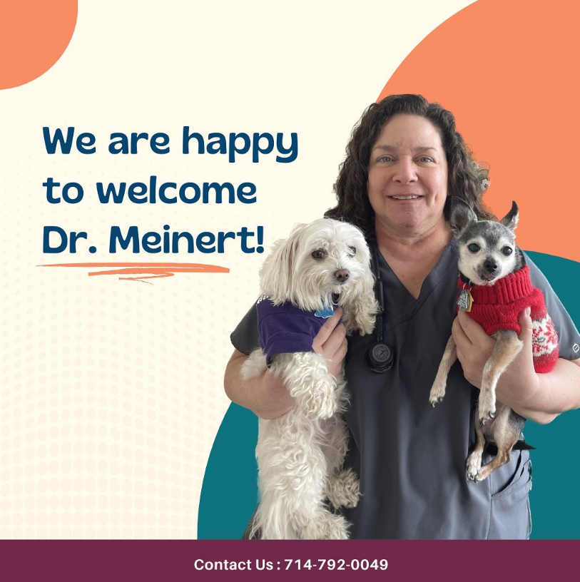 Screen Shot 2024-09-02 at 10.28.53 AM.png