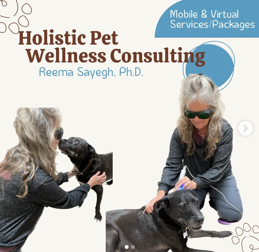 Screen Shot 2024-09-02 at 10.27.13 AM.png