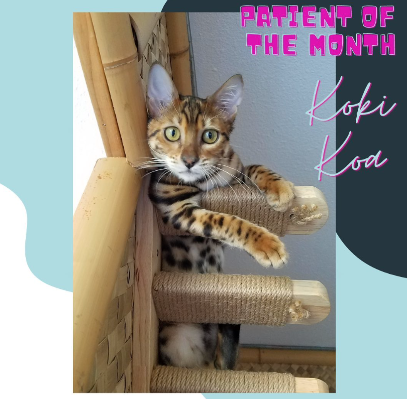 Screen Shot 2024-09-02 at 10.27.48 AM.png