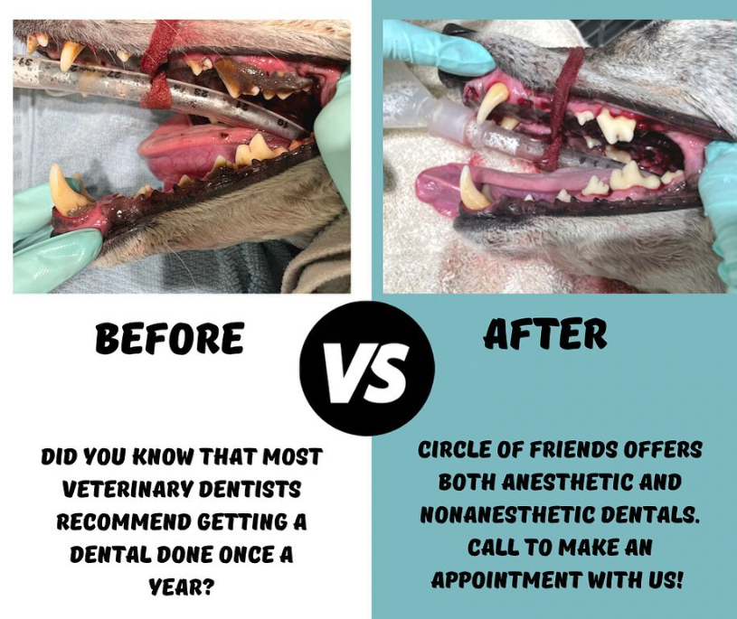 Screen Shot 2024-09-02 at 10.28.17 AM.png