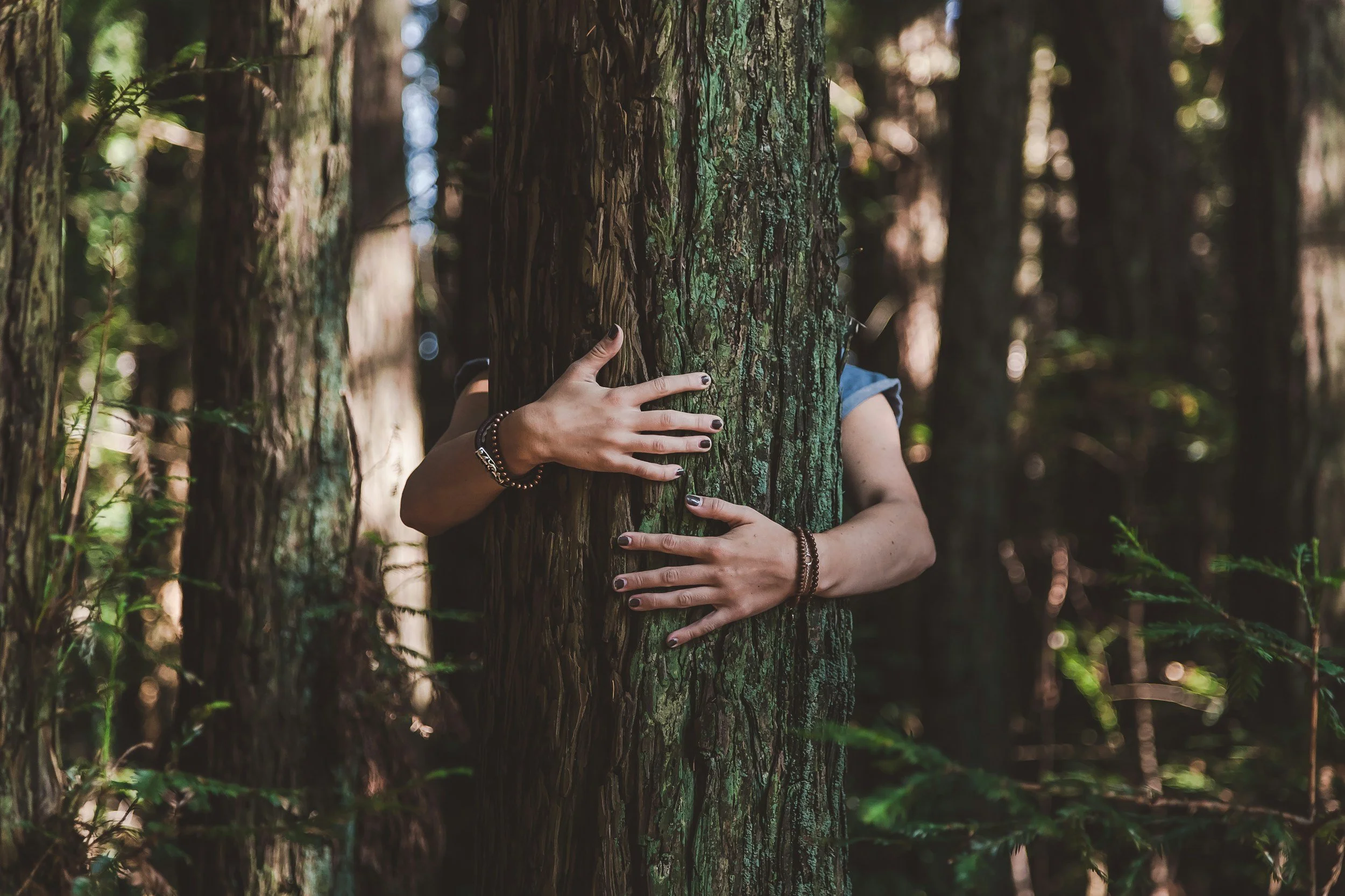ADHD Emotional Regulation