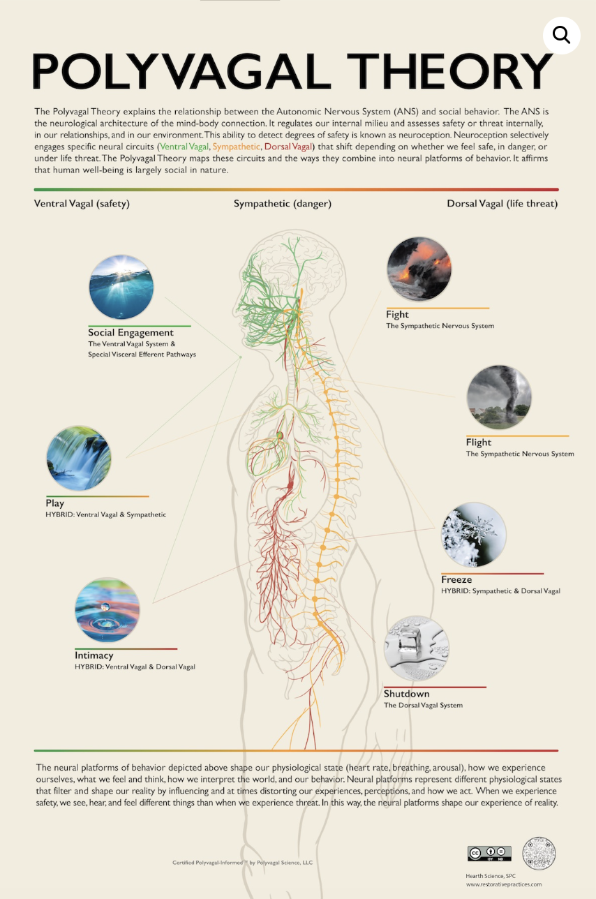Nervous System BODY IMAGE