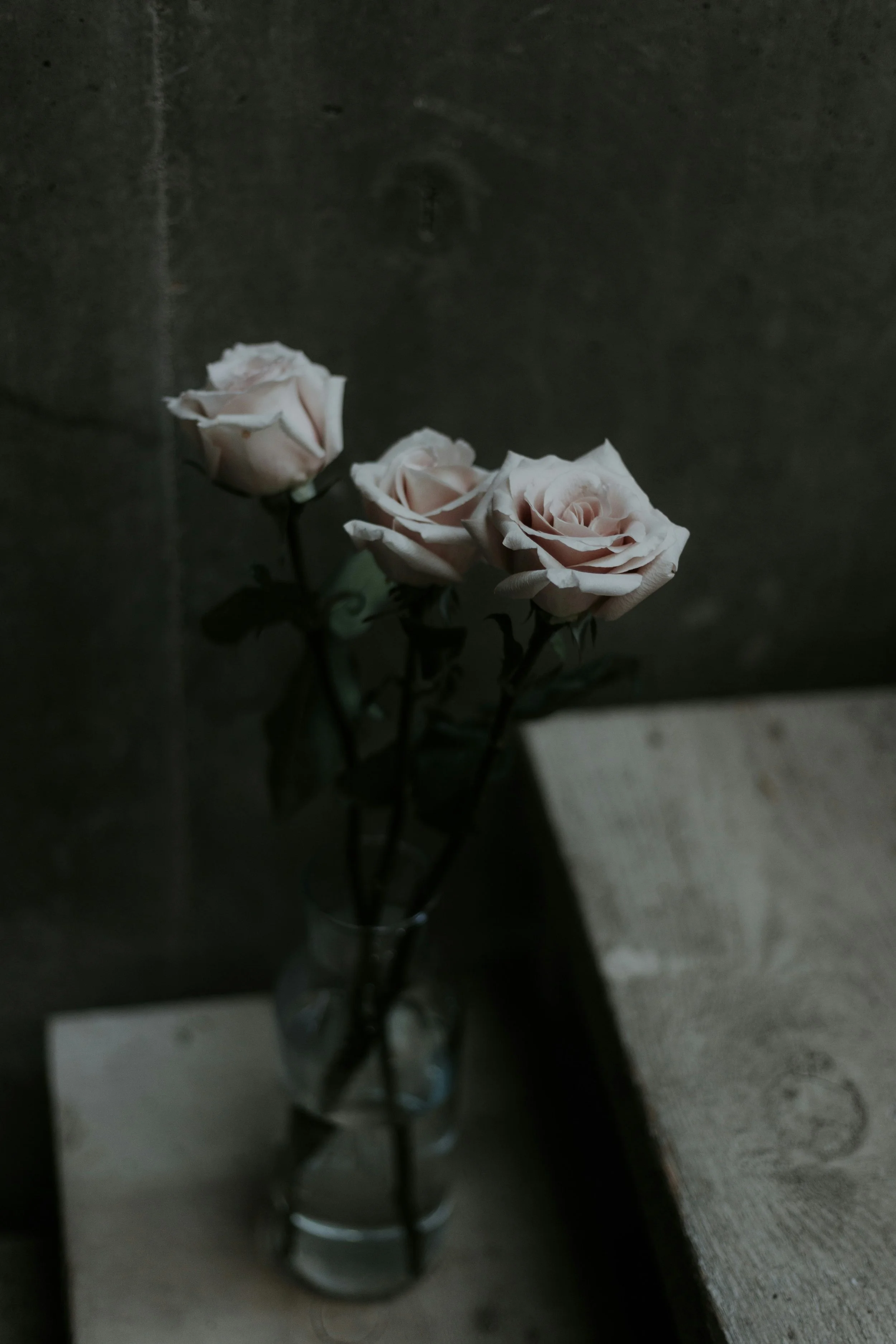 Grief & Loss Counselling: Navigating Life’s Toughest Moments