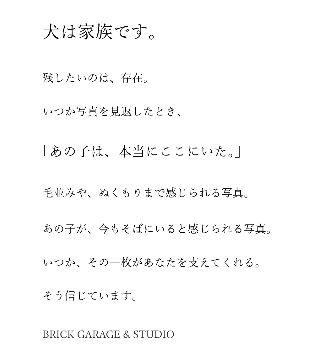 ドッグフォトスタジオの理念