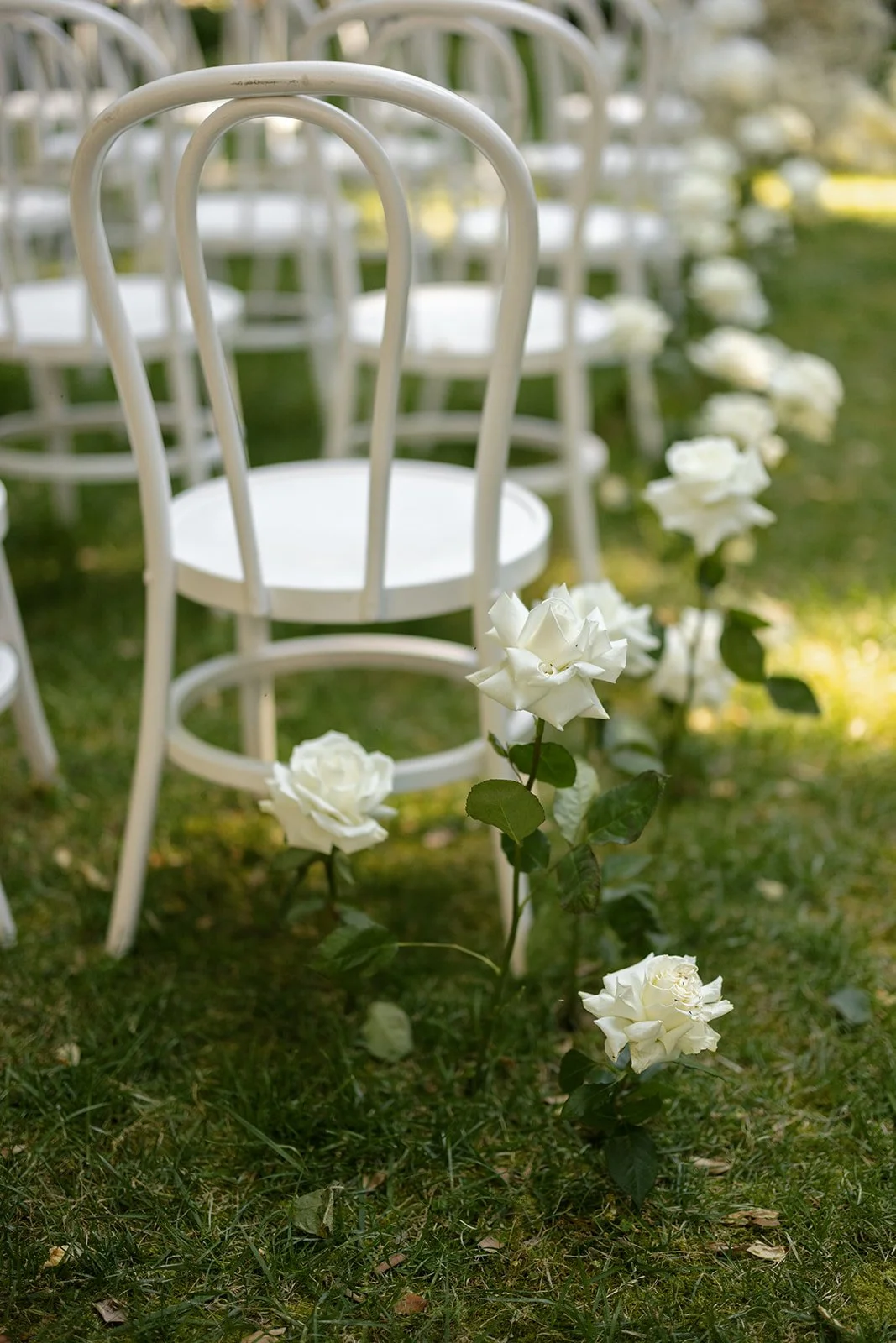 Ryan_Amarah_StefanieBumaWeddings_Lamonts_223 copy.jpg