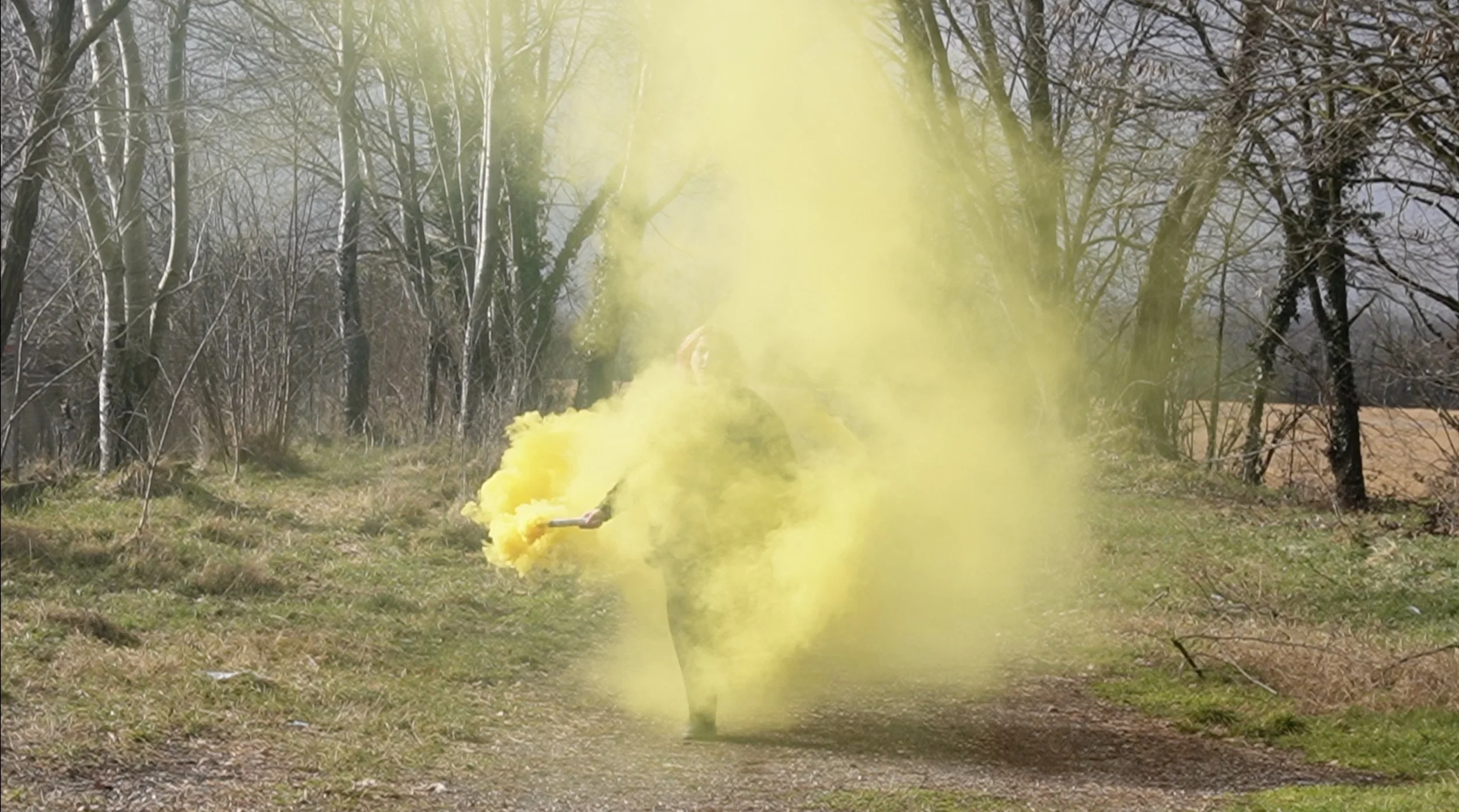 Screenshot 2026-01-26 alle 13.00.19.jpeg