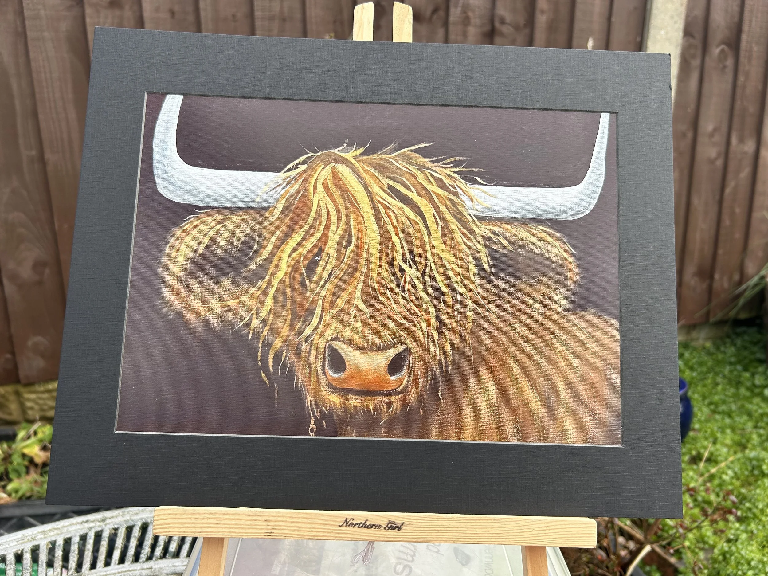 Hairy Coo