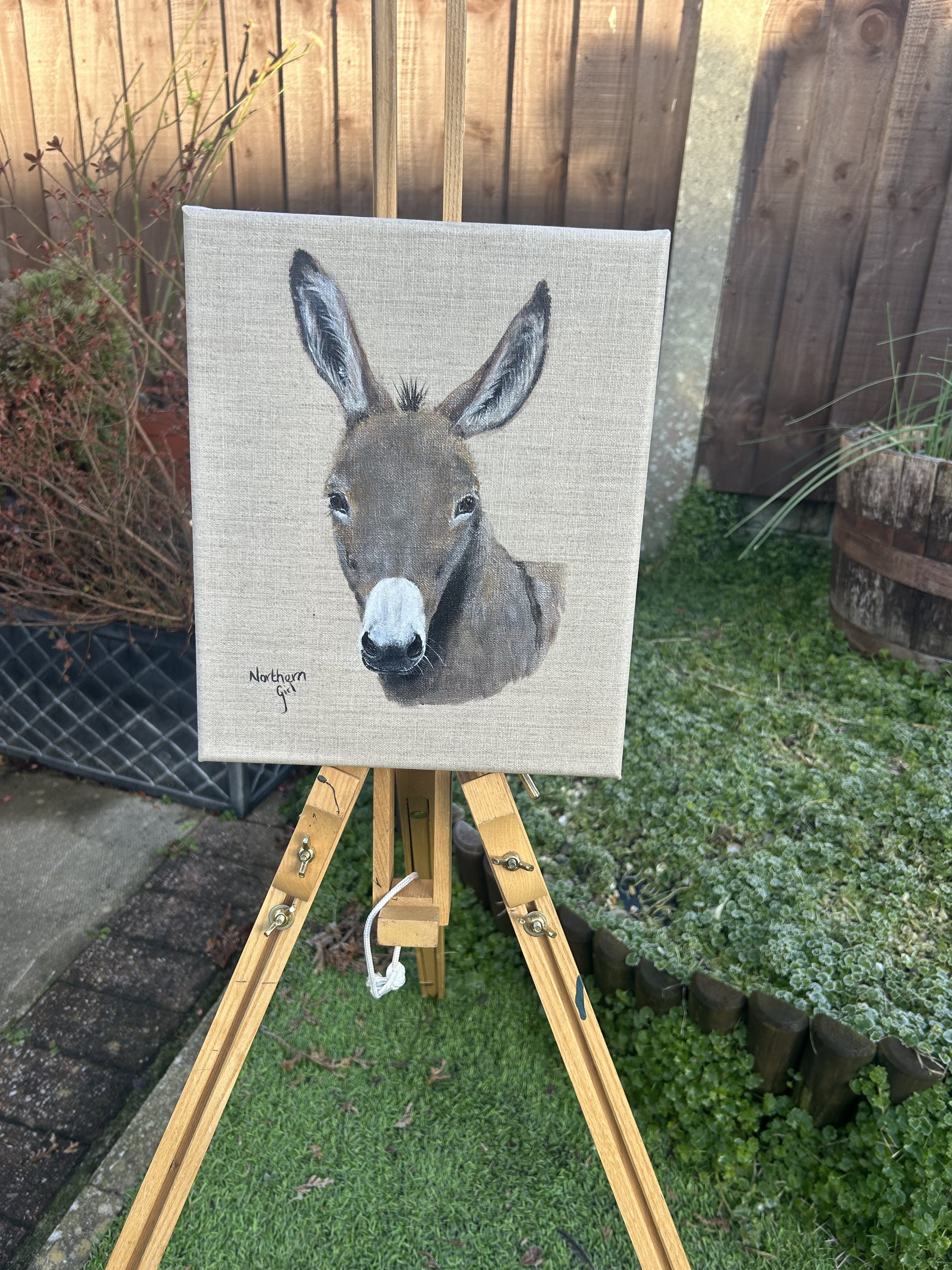 Donkey on linen