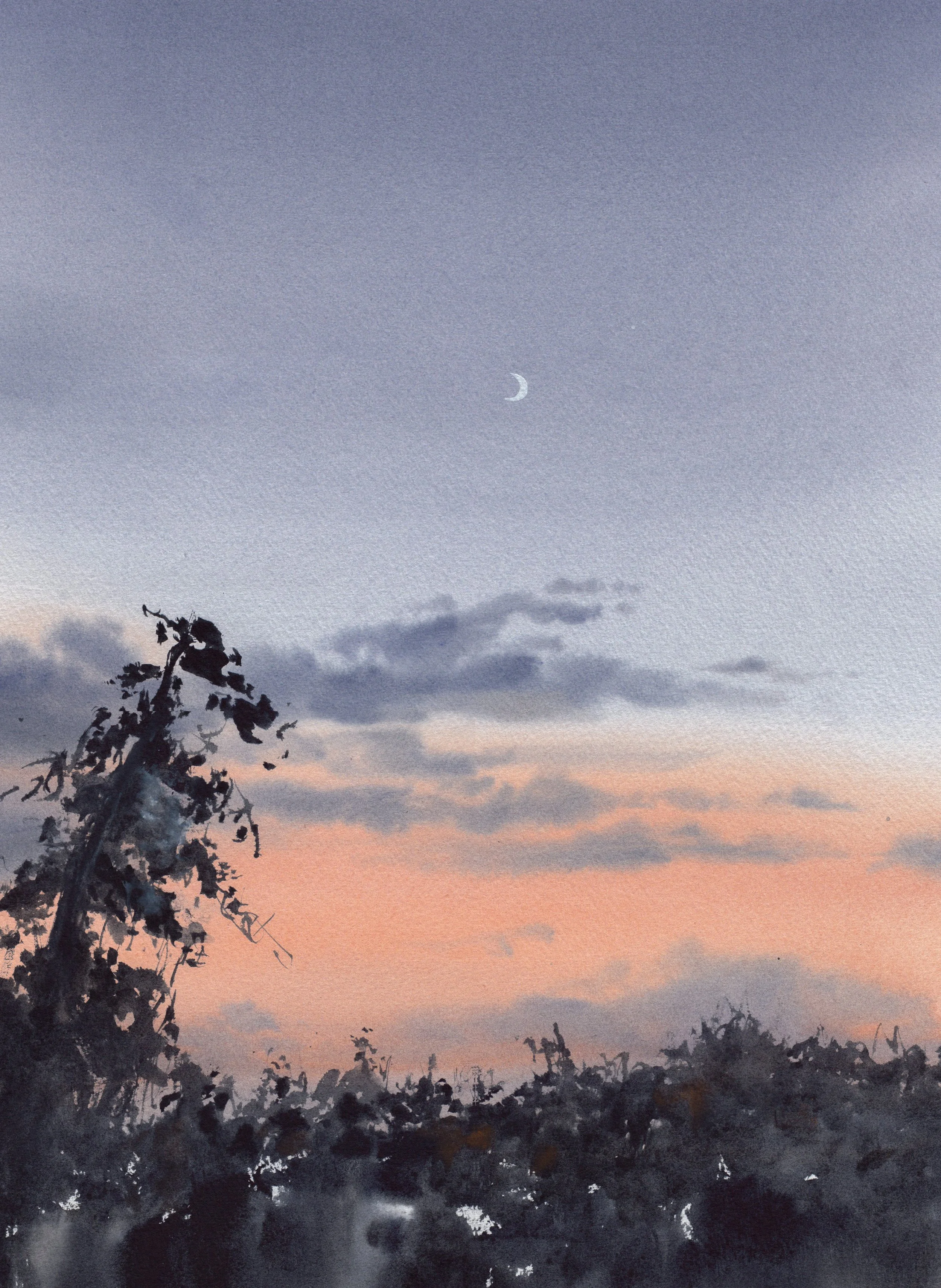 Aroomwithaview.jpg
