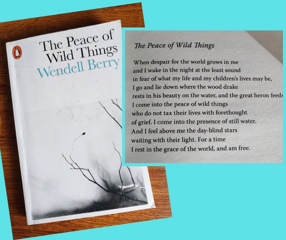 Despair and peace in poetry