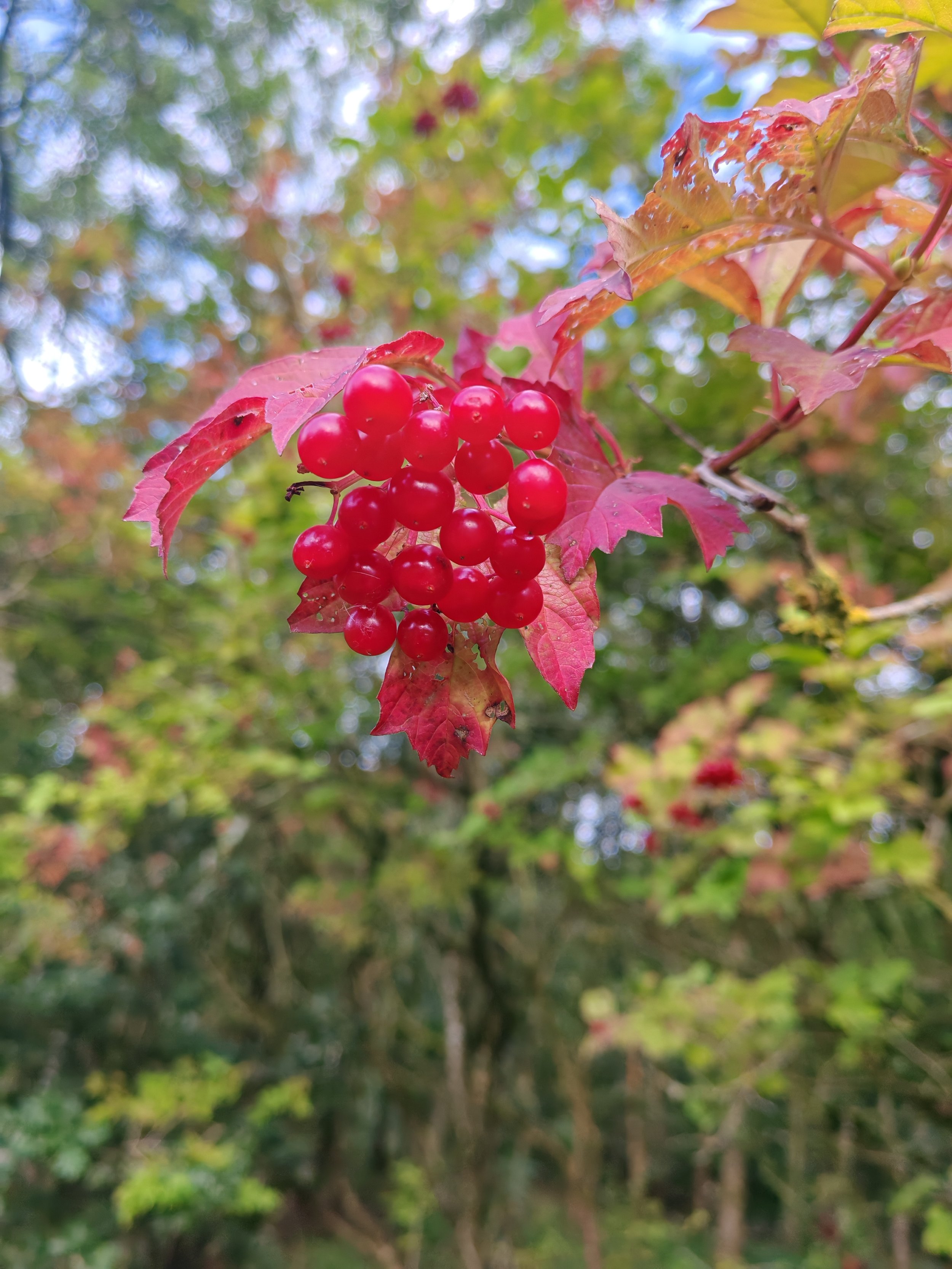 Seasonal ebbs and flows