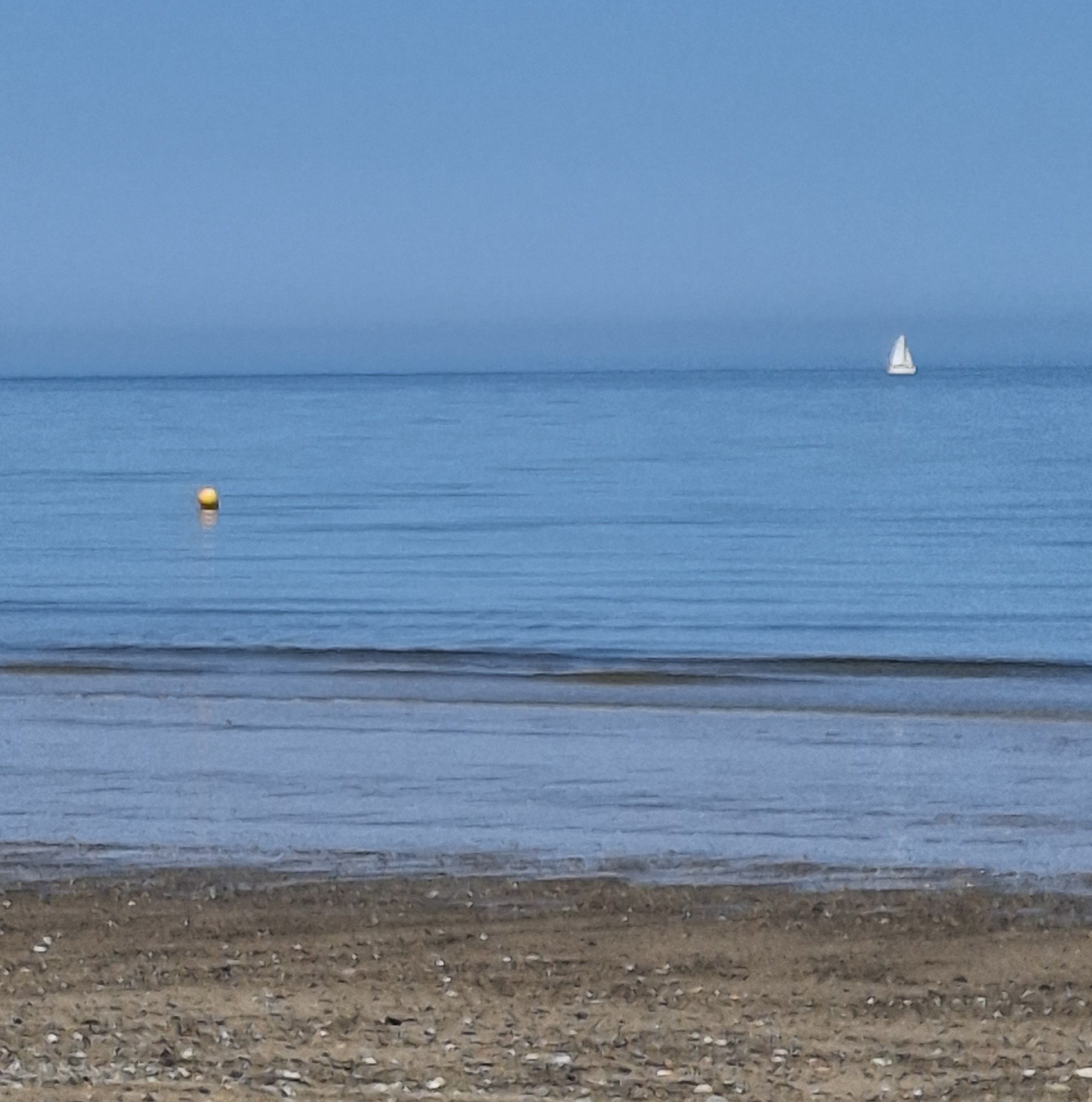 SAILBOAT.jpg