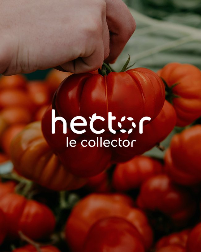 HECTOR LE COLLECTOR
Audit du blog, stratégie de contenu et rédaction d’articles