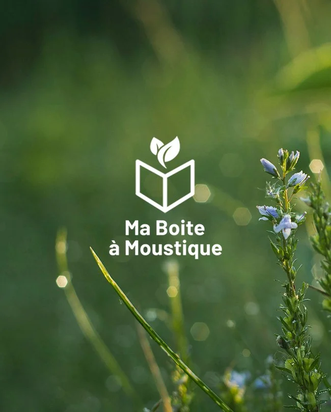 MA BOITE À MOUSTIQUE
Stratégie et rédaction SEO du site