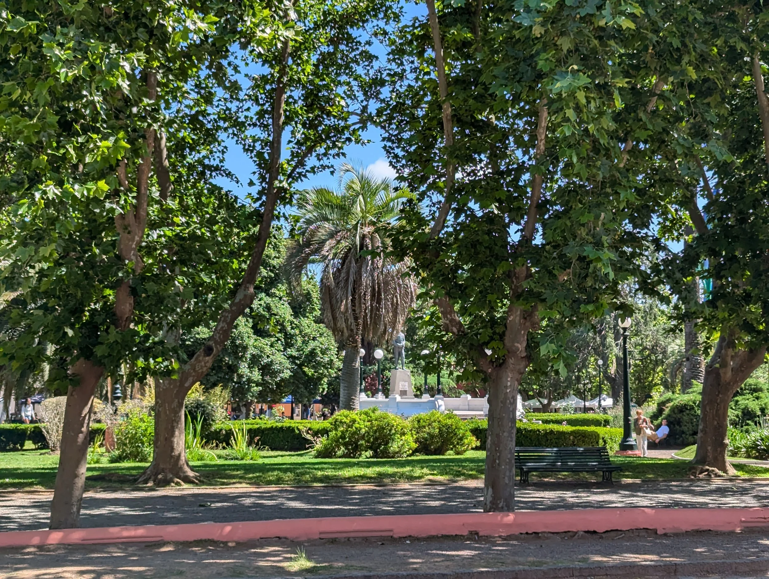 PXL_20241118_131426279.jpg