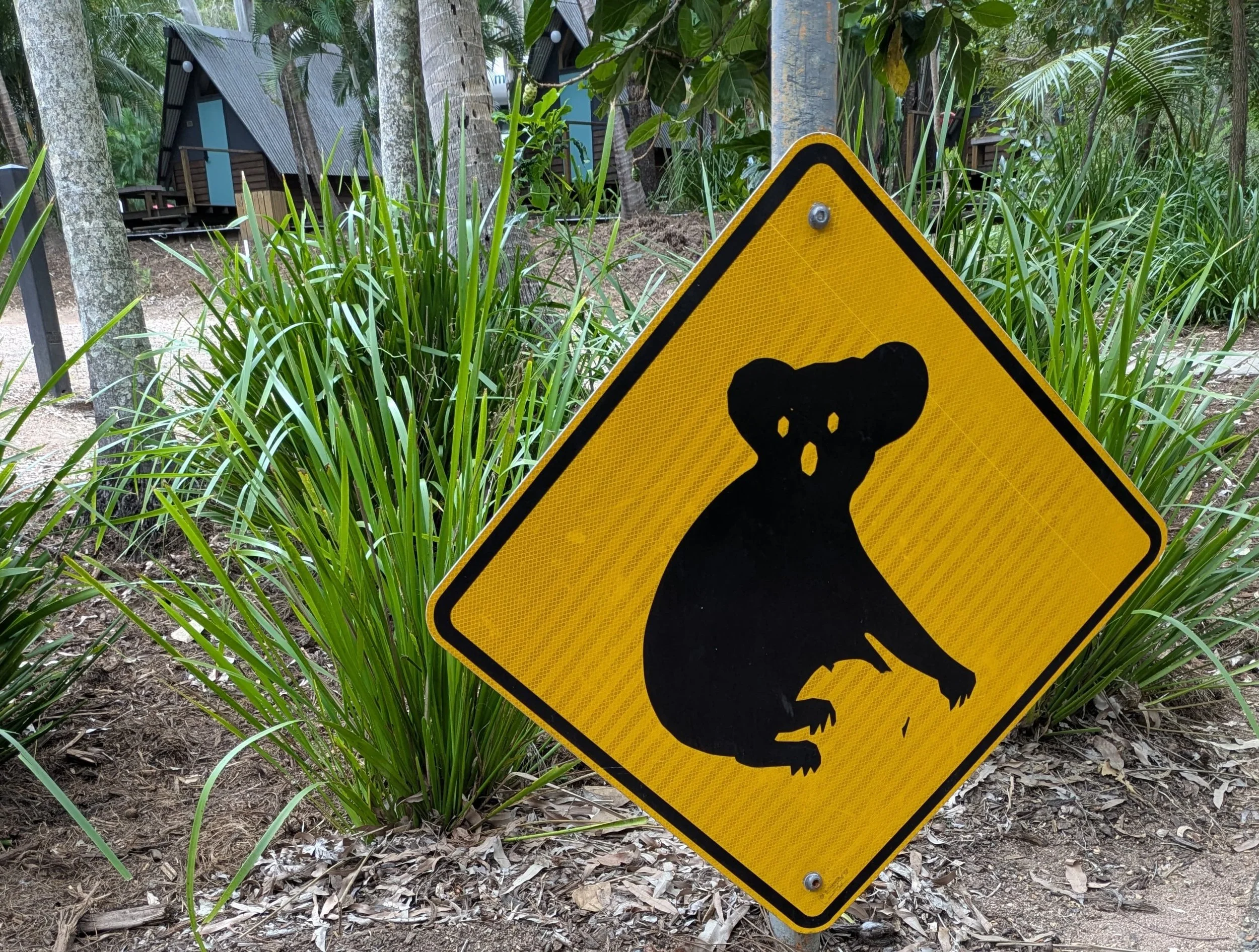 Faszination Down Under
