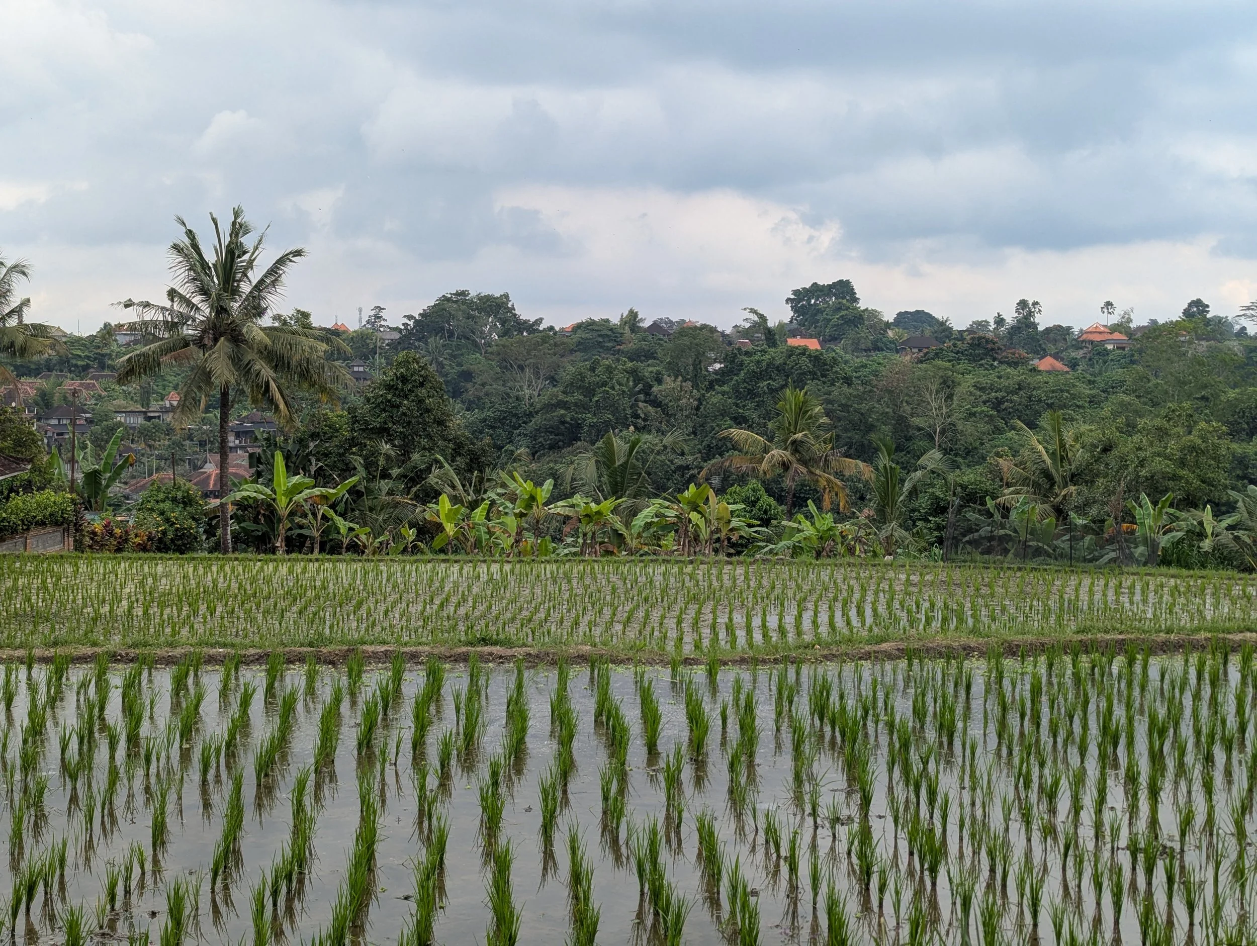 Indonesien - 17.000 Inseln, nicht nur Bali