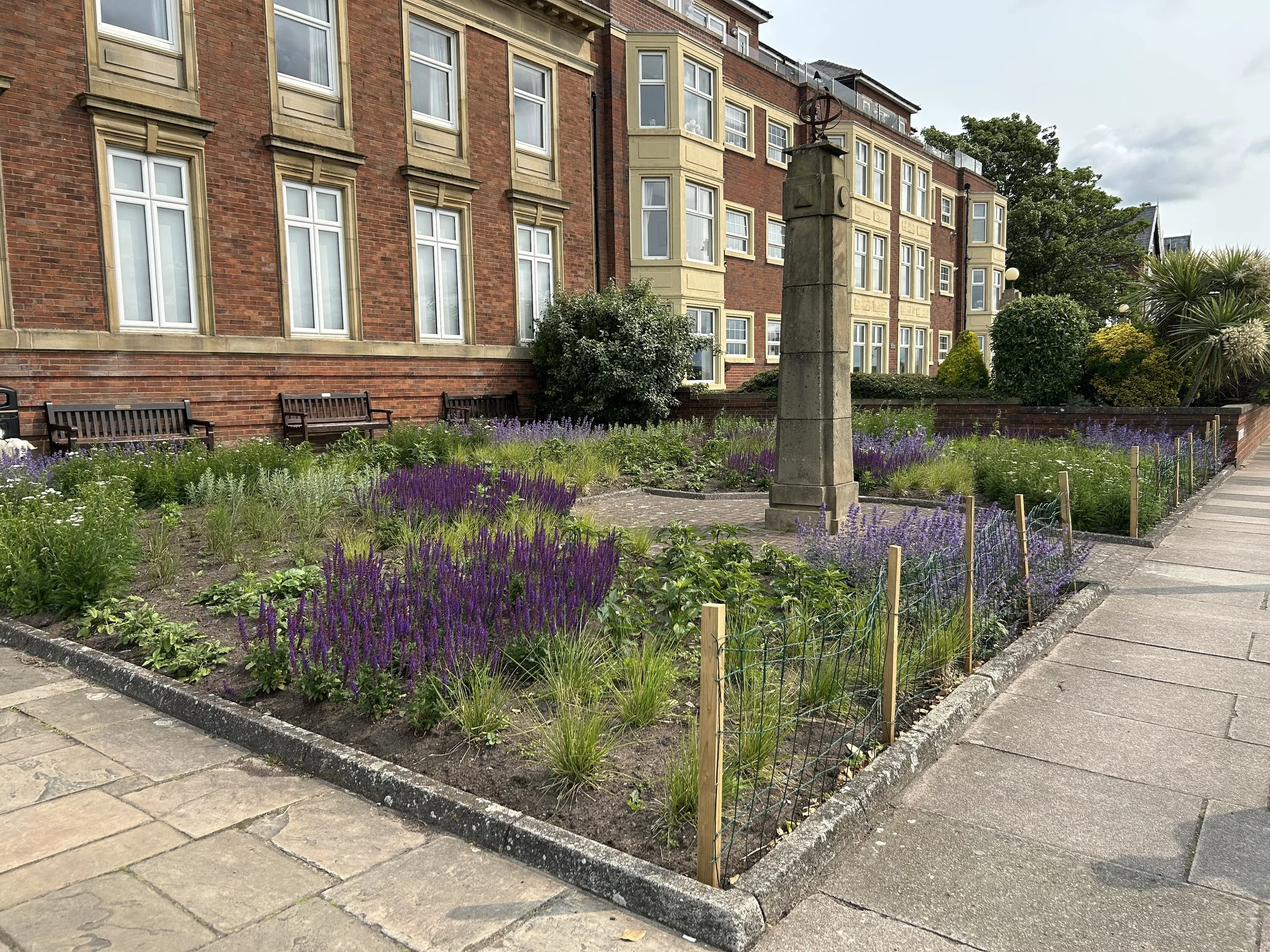Fylde Council Unveils Striking ‘Prairie Style’ Planting at Lytham Assembly Rooms