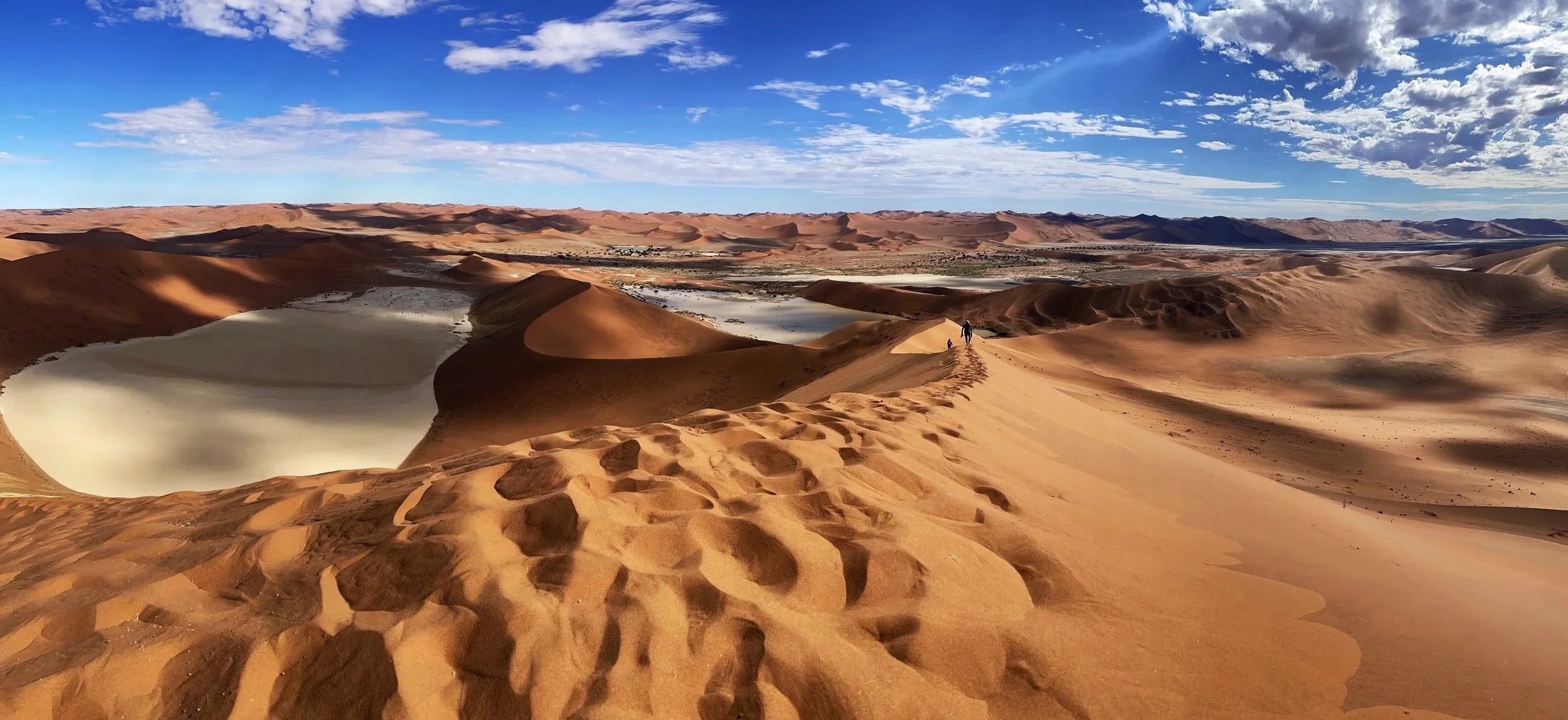 9_Landscapes_Open_Spaces_ RidingMuse_Gallery_IMG_3959.jpg.webp