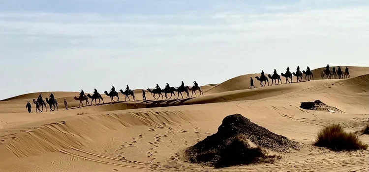 3_Adventure_Morocco_ RidingMuse_Gallery_EKCYE4999.jpeg.webp