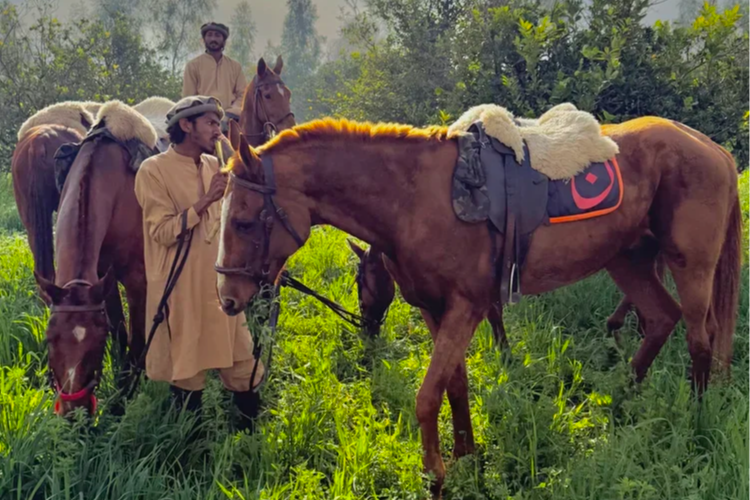 ADVENTURE IN PAKISTAN
