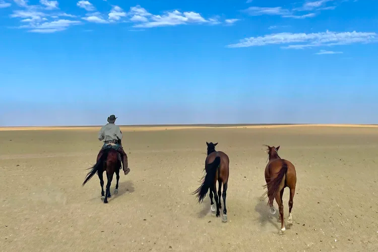ADVENTURE IN NAMIBIA
