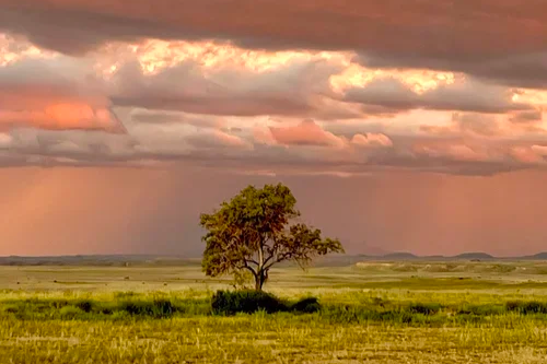 OPEN SPACE LANDSCAPES