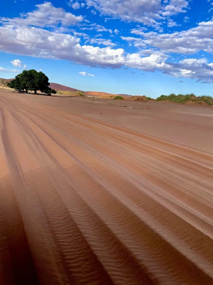 16_Landscapes_Graphical_ RidingMuse_Gallery_IMG_3915.jpeg.webp