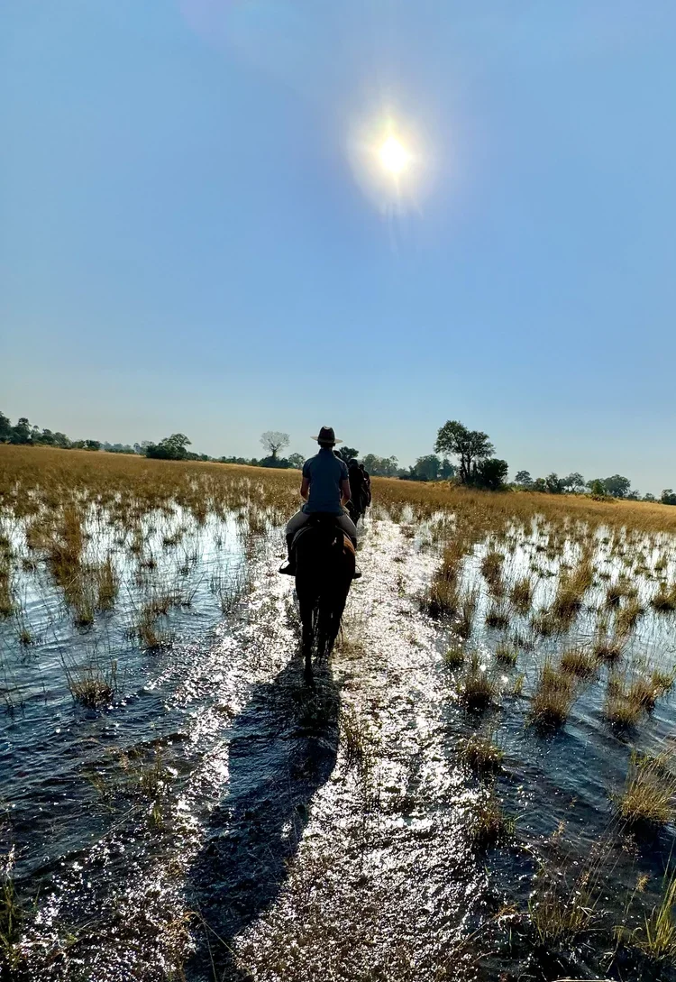 5_Adventure_Botswana_ RidingMuse_Gallery_IMG_2159.jpeg.webp