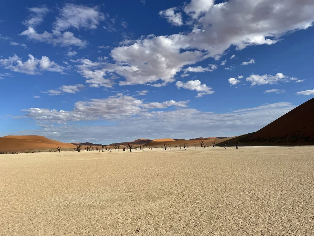 1_Landscapes_Graphical_ RidingMuse_Gallery_IMG_0356.jpeg.webp