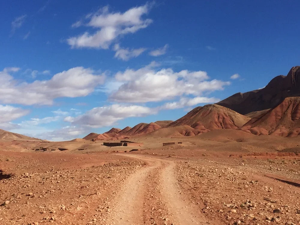 17_Landscapes_Open_Spaces_ RidingMuse_Gallery_IMG_5248.jpg.webp