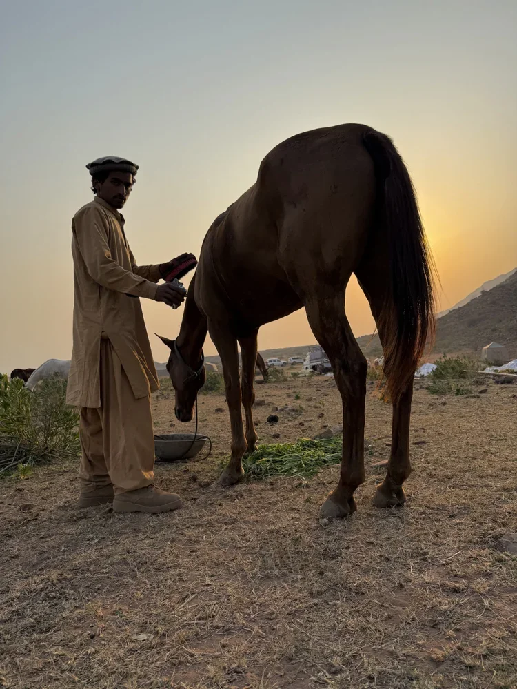 9_Adventure_Pakistan_ RidingMuse_Gallery_IMG_3979.jpeg.webp
