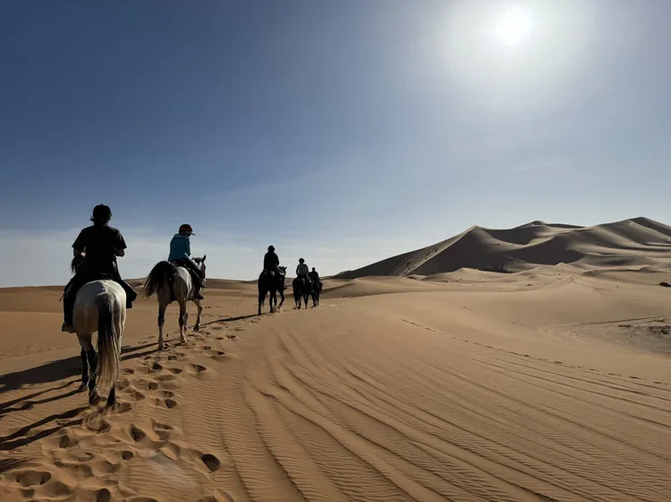 1_Adventure_Morocco_ RidingMuse_Gallery_IMG_0651.jpeg.webp