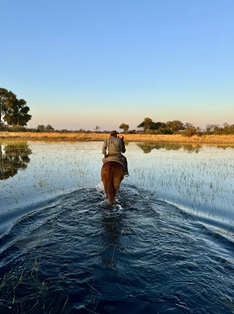 7_Adventure_Botswana_ RidingMuse_Gallery_IMG_2133.jpeg.webp