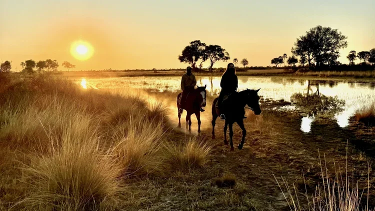 4_Adventure_Botswana_ RidingMuse_Gallery_IMG_2596.jpeg.webp