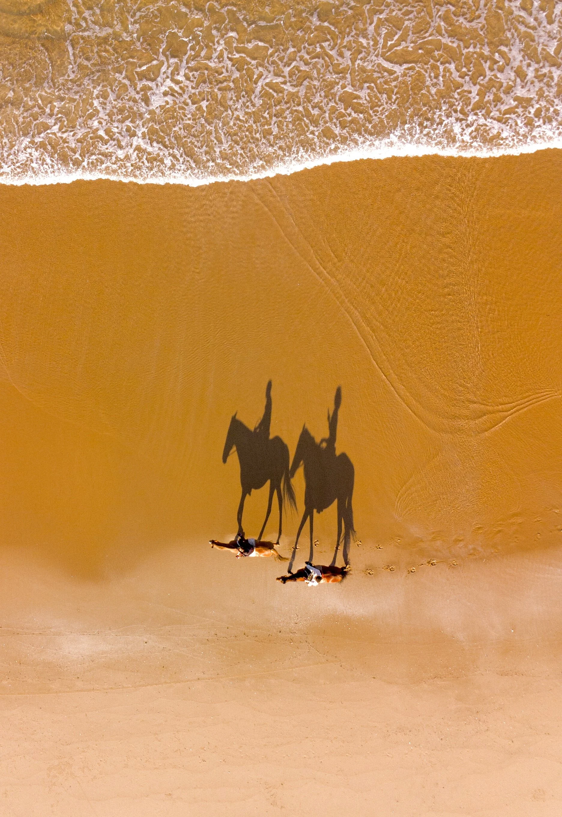 Mozambique on the beach with large horse shadows.JPG