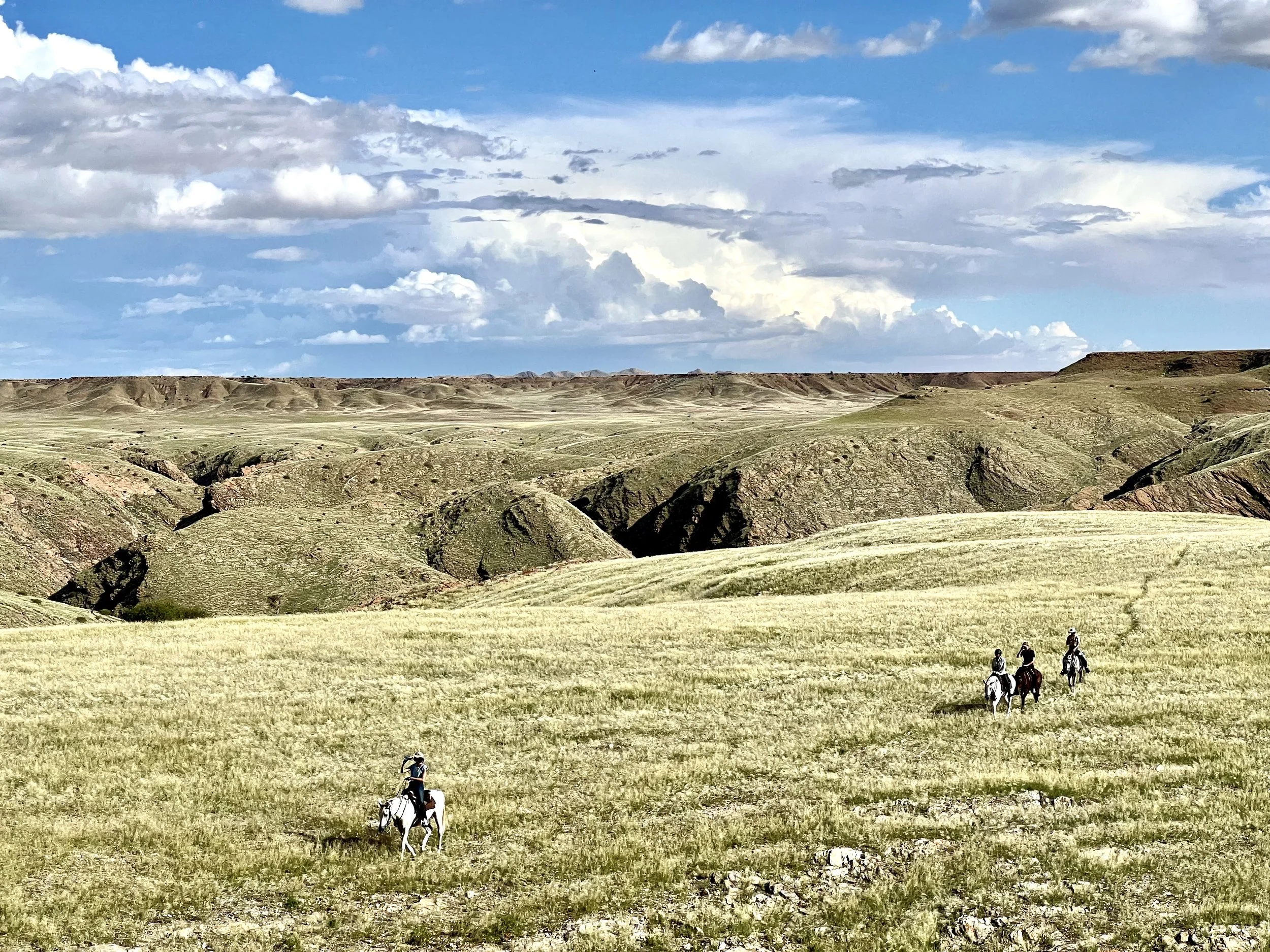 Namibia Namib desert Horse Safari Riding Muse