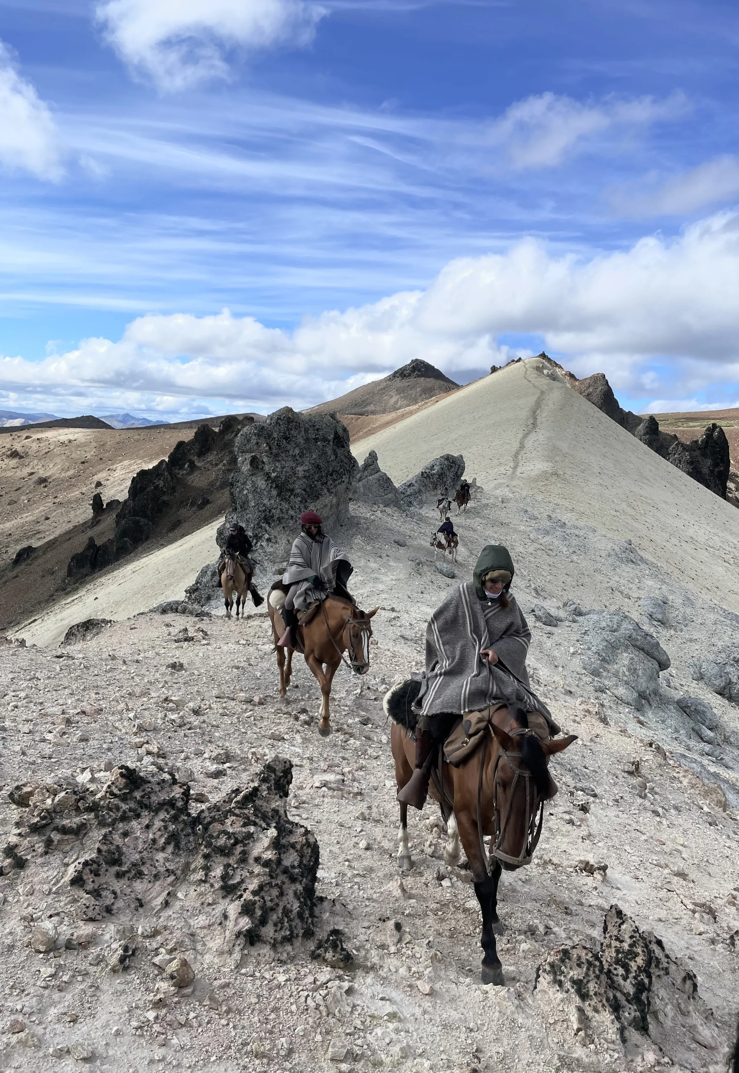 Argentina Patagonia Mountain Horse Ride Riding Muse