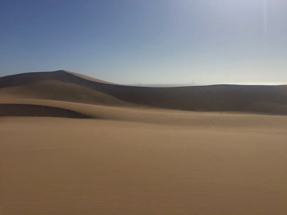 15_Landscapes_Open_Spaces_ RidingMuse_Gallery_IMG_2169.jpg.webp