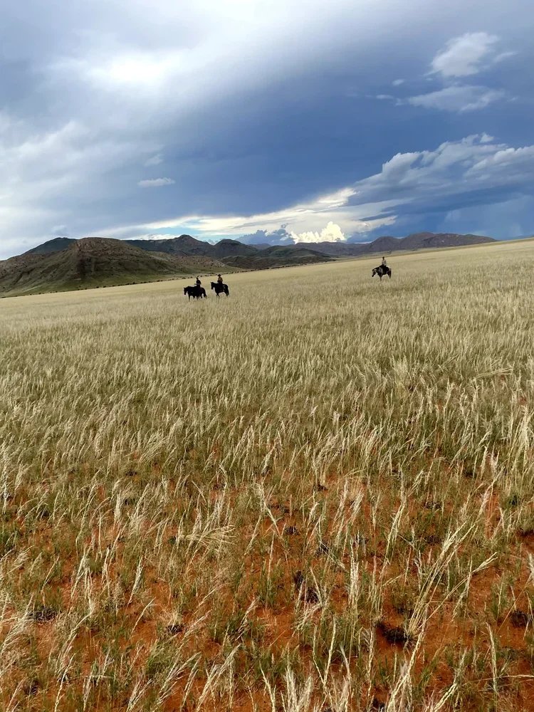17_Adventure_Namibia_ RidingMuse_Gallery_IMG_4043.jpeg.webp